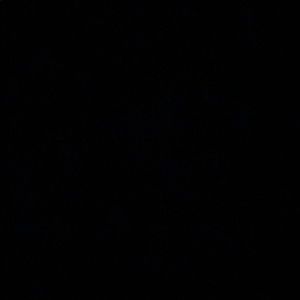 Meet your Posher, Gregorio